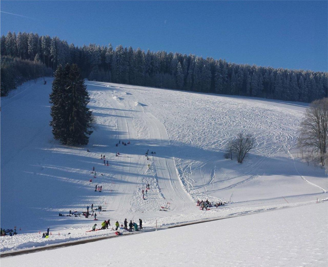 Blick auf den Schlossberg